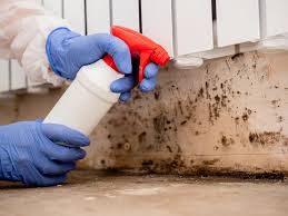 Reliable Kapaau, HI Mold Inspection Solutions